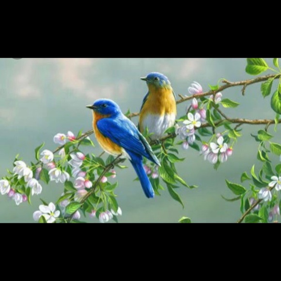 Meet your Posher, Sibylla - Picture 1 of 1